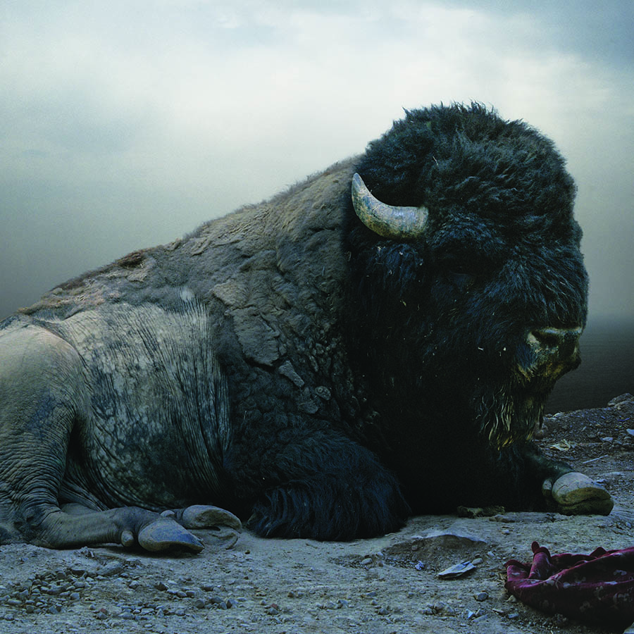 Simen Johan