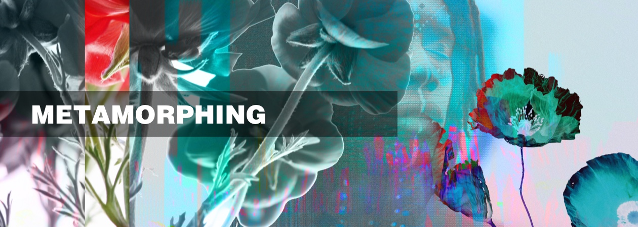 METAMORPHING METAMORPHING