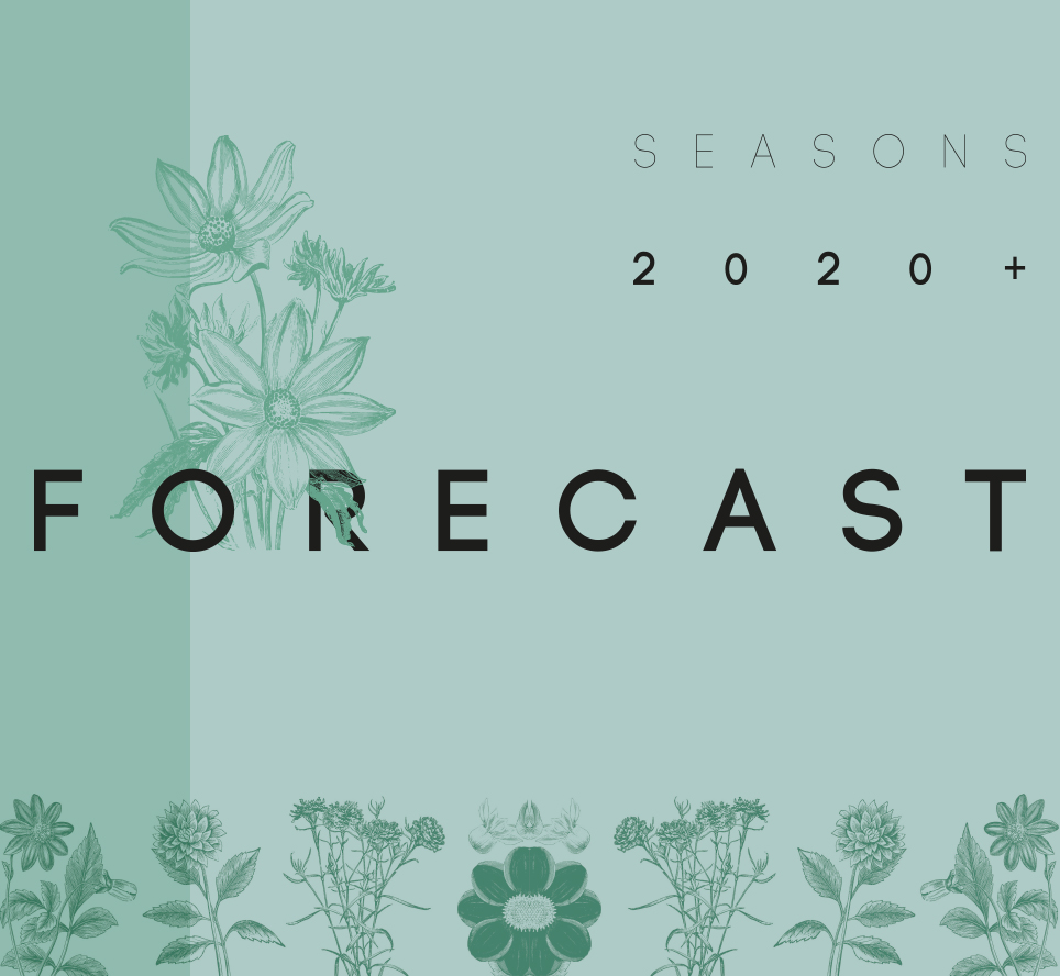 Trend Forecast 2020