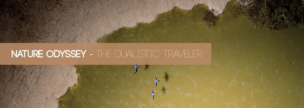 Nature Odyssey – The Dualistic Traveler