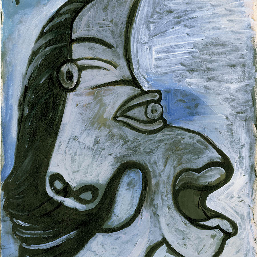 Picasso